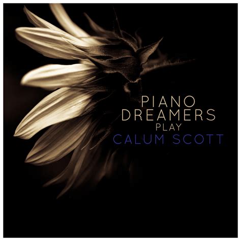 Piano Dreamers Piano Dreamers Play Calum Scott Iheart