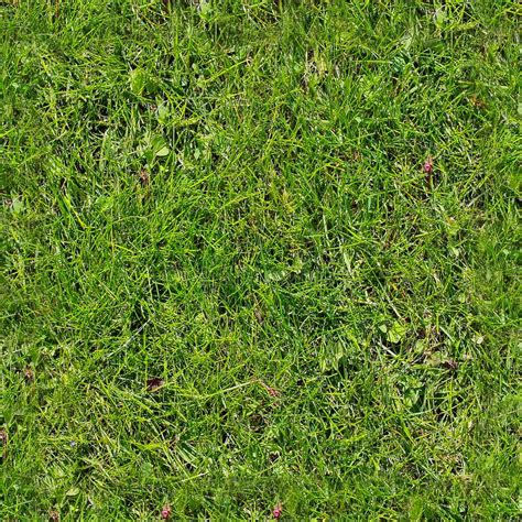 Photo Realistic Seamless Grass Texture In High Resolution With More
