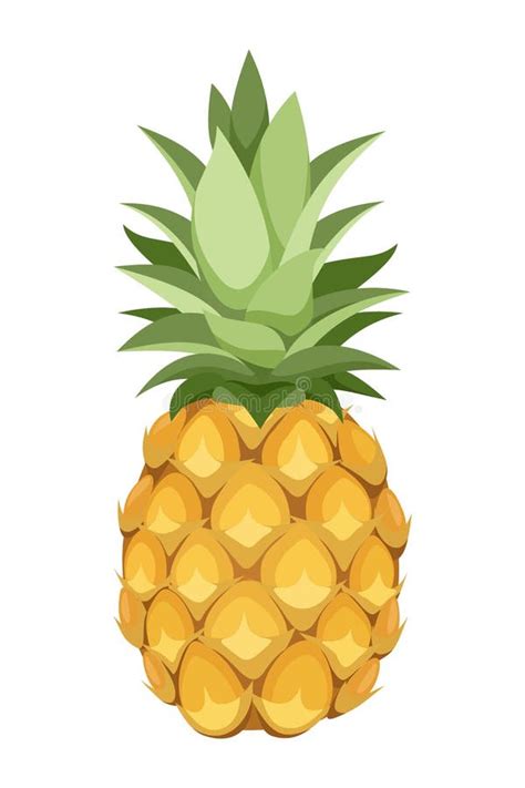 Pineapple Stock Illustrations 90144 Pineapple Stock Illustrations