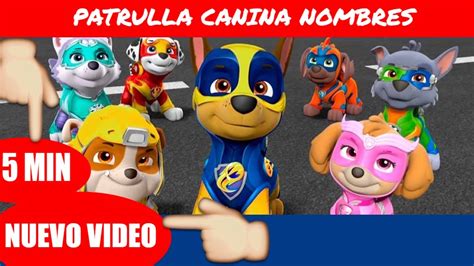 Personajes De La Patrulla Canina 🐶 En Español Personajes Paw Patrol