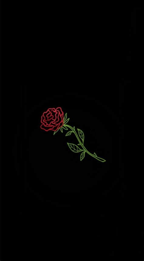 Dope Rose Wallpapers Top Free Dope Rose Backgrounds Wallpaperaccess