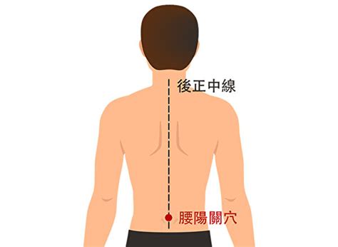 經常按摩命門穴、腎俞穴、腰陽關穴、腰眼穴、委中穴五大穴位可以預防、緩解腰痛不再來。 Alpineatks 的網誌 Udn部落格