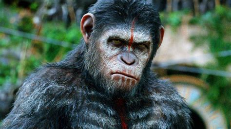 Slideshow Every Major Ape In The Planet Of The Apes Trilogy