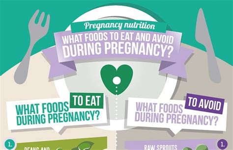 Pregnancy Nutrition A List Of Foods To Eat And Avoid Infographic