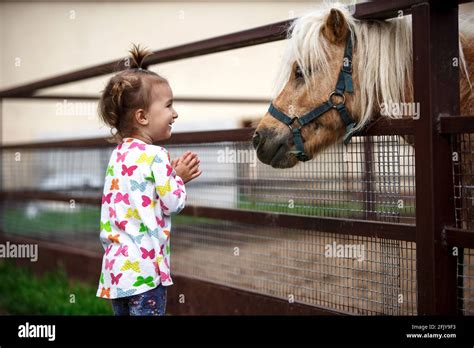 A Little Girl Of Caucasian Appearance Enjoys A Pony Horse In A Stable