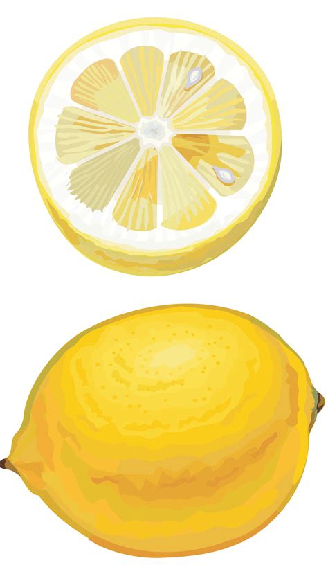 Lemon Png Transparent Image Download Size 2439x4200px