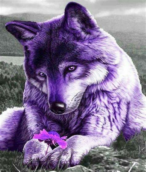 Pin By Teresa Langston On I Love Purple Fantasy Wolf Beautiful