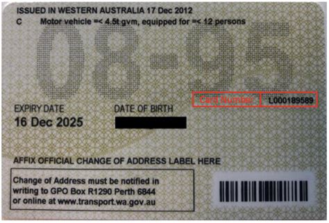 Aus Drivers Licence