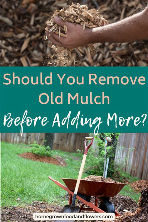 Should You Ever Remove Old Much Mulch Landscaping Garden Mulch