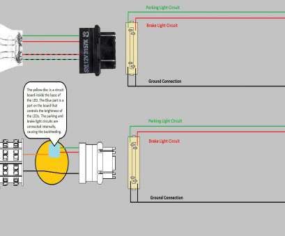 Learning those pictures will help you better please note that it is expected that the person carrying out work in accordance with this guide will be competent to do so. Wiring Light Fixture Socket New Light Socket Diagram Wiring Best Of Bulb, Wellread.Me Ideas ...