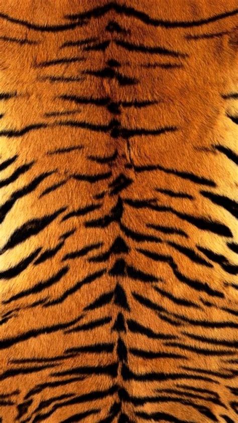 Tiger Stripes Phone Wallpaper Tigers Phonewallpaper