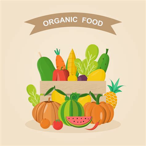 Alimentos Orgánicos Ilustración Vectorial Conjunto De Verduras Y