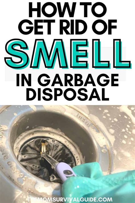 7 Easy Ways To Get Rid Of Smell In Your Garbage Disposal The Mom Survival Guide