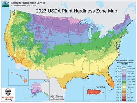 Usda Releases Updated Plant Hardiness Zone Map The Source Weekly