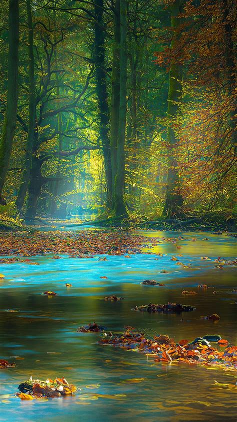 Sun Light Passing Through Green Trees Between River Sunbeam Autumn K Hd Nature Wallpapers Hd
