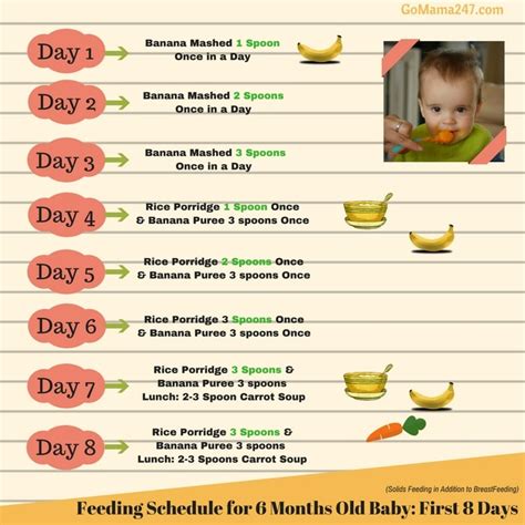 Are you looking for 7 month baby food chart or 8 month baby food chart?in this article i have listed 7 month baby food & 8 month baby food chart. Food Diet 6 Month Old Baby - Diet Plan