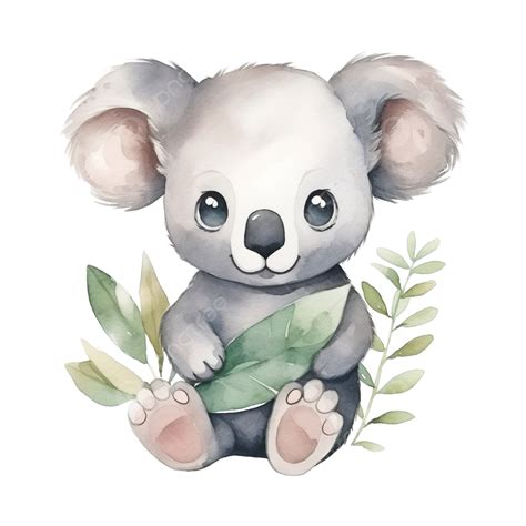 Cute Koala Watercolor Koala Bear Watercolor Png Transparent Image