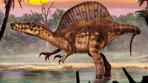National Geographic Spinosaurus Era Semiacuático El Pulso De Colima