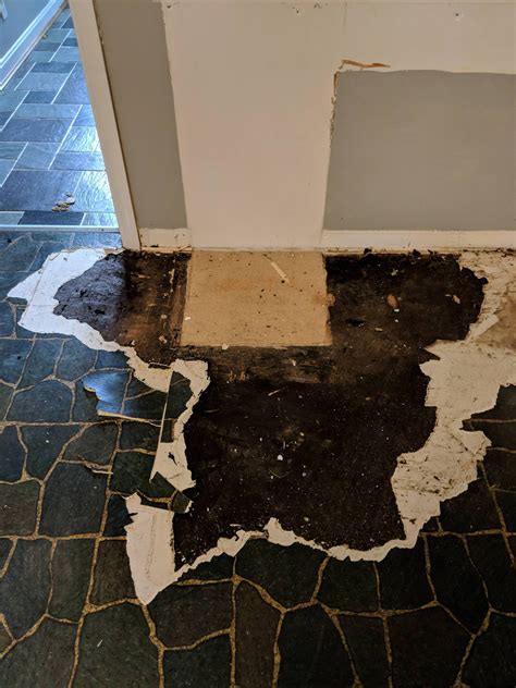 Asbestos mastic under vinyl tile, considering options : HomeImprovement