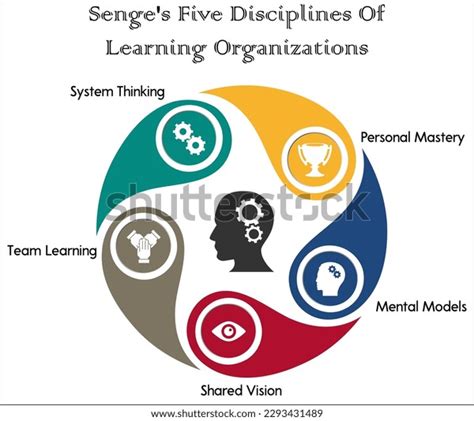 Senges Five Disciplines Learning Organization Infographic Stock Vector