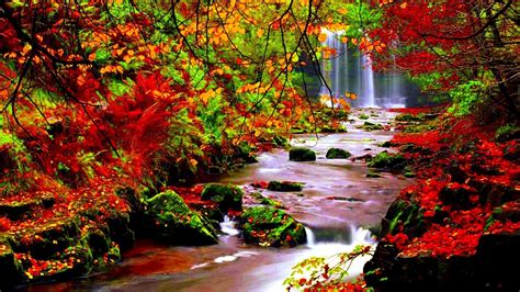 Autumn At The River Wallpapers Wallpaper Cave