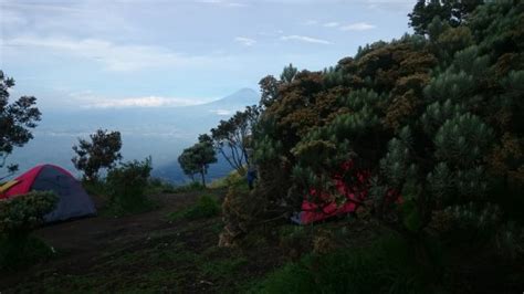 Mount Merbabu National Park Salatiga Indonesia Top Tips Before You
