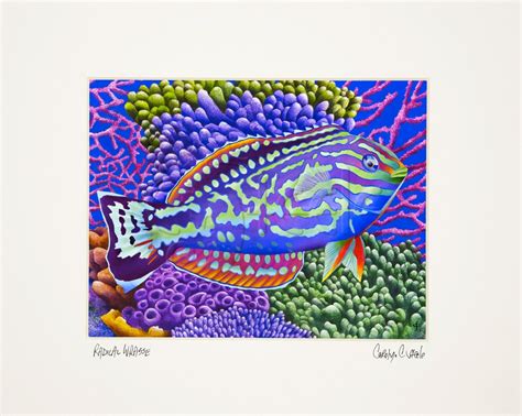 Carolyn Steele Tropical Art Print Scuba And Snorkel Coral Reef Red Sea