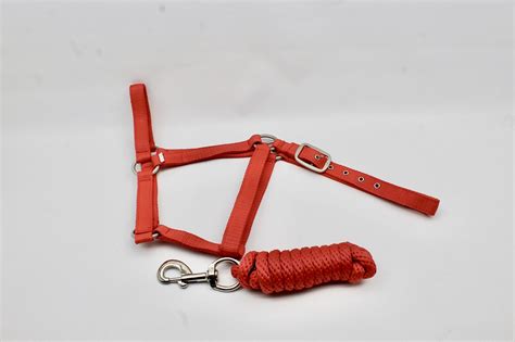 Nylon Halter And Lead Rope Set Red Super Horse Saddlery