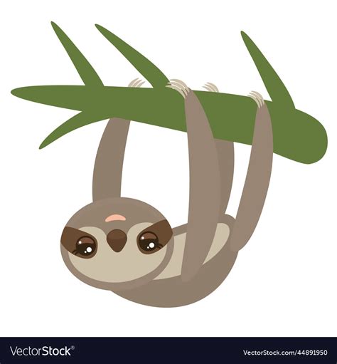 Three Toed Sloth On Green Branch On White Vector Image