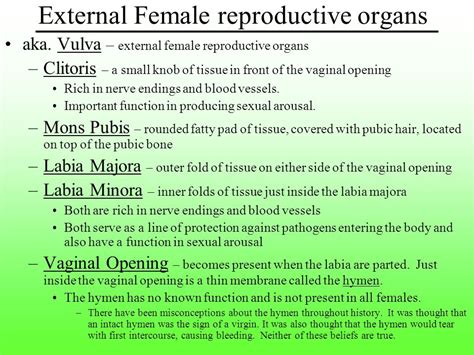 chapter 19 female reproductive system ppt download