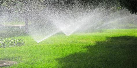 Are You Overwatering Your Lawn The Sprinkler Connection Inc