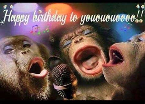 Happy Birthday Singing Cards Birthday Monkey Happy Singing Funny Song