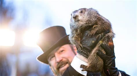 Punxsutawney is a borough in southern jefferson county in the pennsylvania wilds, famous nationwide for punxsutawney phil, the groundhog of groundhog day fame, who is. Punxsutawney Phil Says Winter Is Canceled | Vanity Fair