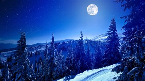 1920x1080 Nature Snow Winter Forest Moon Trees Coolwallpapersme