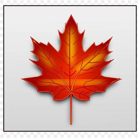 Canada Maple Leaf Clip Art Png 2400x2400px Canada Autumn Autumn Leaf Color Flag Of Canada