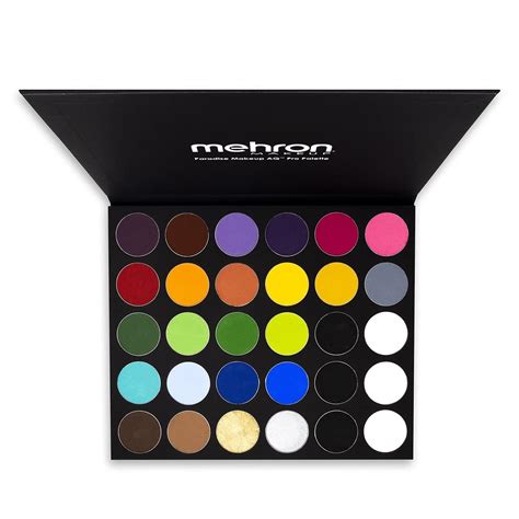 Buy Mehron Makeup Paradise Aq Magnetic Refillable Color Pro Paint