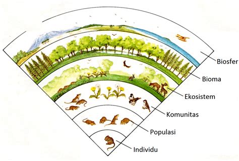 Komponen Satuan Dan Interaksi Dalam Ekosistem MAHKOTA SAINS