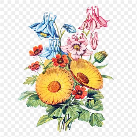 Vintage Flower Bouquet Transparent Png Premium Png Sticker Rawpixel