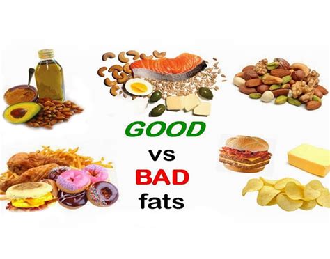 Good Fats Vs Bad Fats Healthy High Fat Foods And How To Choose Fitpass