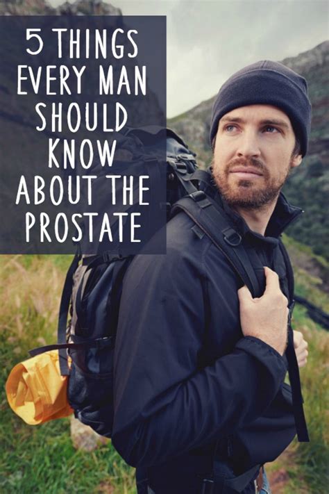 Things Every Man Should Know About The Prostate Healthpositiveinfo