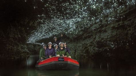 Glow Worm Cave Tours Waitomo 15 Must Do New Zealand