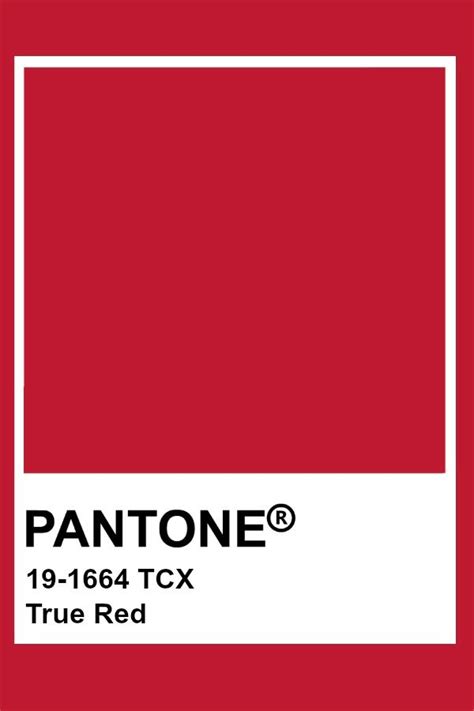 Pantone True Red Pantone Red Pantone Colour Palettes Pantone Swatches