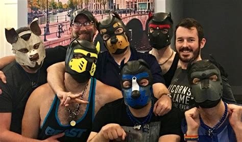 Why Is Pup Play So Popular？a Beginners Guide To Pup Play And Gear