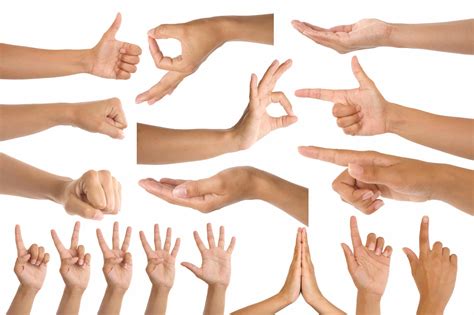 12 Handzeichen And Ihre Unterschiedlichen Bedeutungen