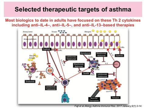 Asthma Biologics 2019 Asthma Lung Disease