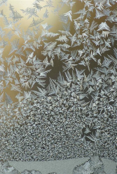 Frosty Window Pentax User Photo Gallery