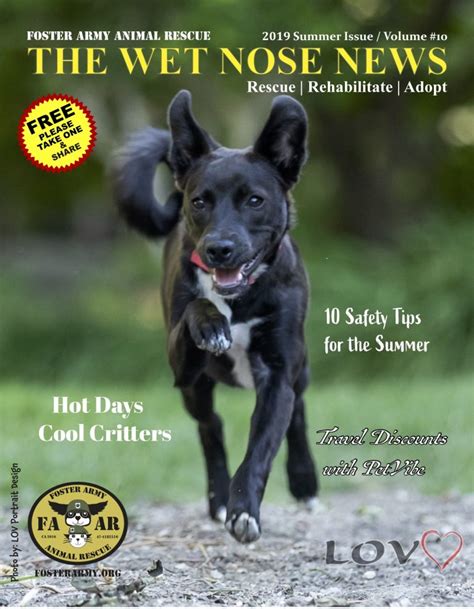 Newsletters Foster Army Animal Rescue