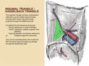 During ovulation, the primary follicle forms the secondary follicle and subsequently the mature vesicular follicle. Hernias by MHR Corp