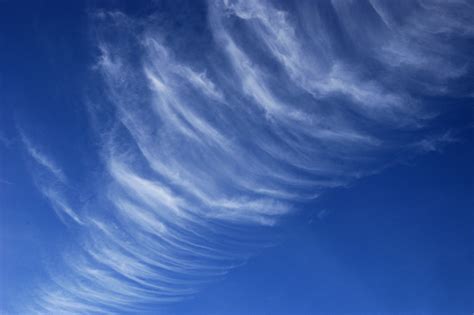 Filecirrus Clouds With 3d Look Wikimedia Commons