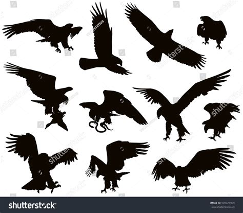 Hunting Eagle Detailed Vector Silhouettes Set Stock Vector Royalty